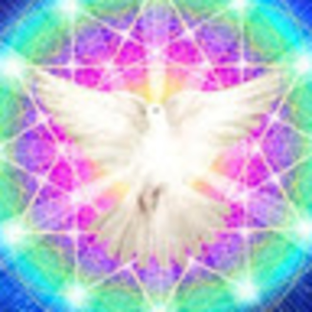 Meet your Posher, Grade3